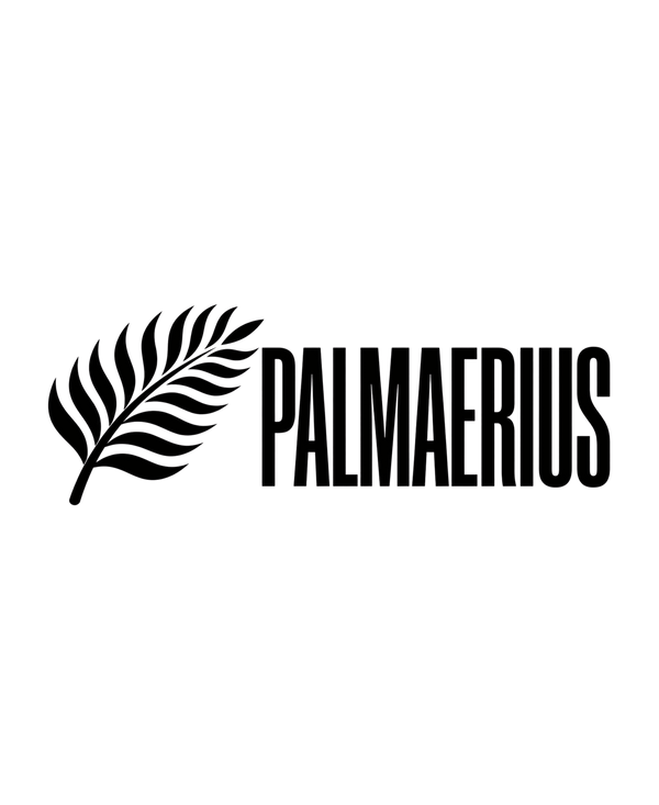 Palmaerius