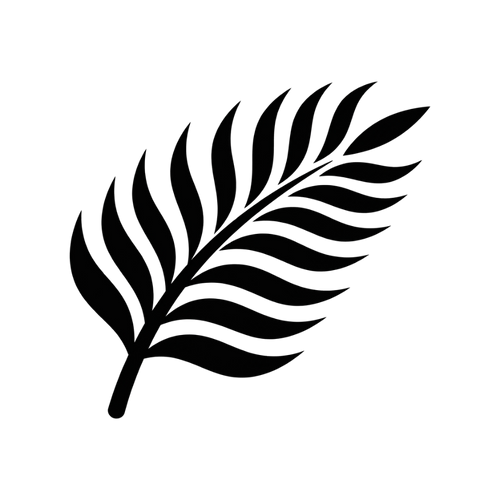 Palmaerius