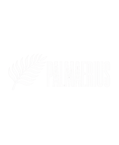 Palmaerius